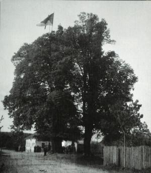 Výstava k 75. výročí osvobození obce Vrbka  1